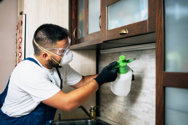 Trusted Seaside Park, NJ Pest Control Experts