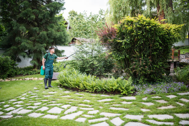 Best Pest Removal Services  in Seaside Park, NJ