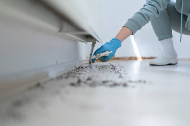 Best Residential Pest Control  in Seaside Park, NJ